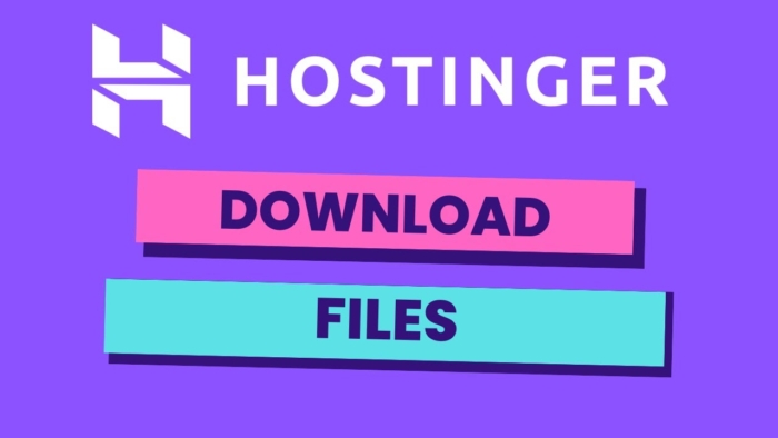 which hostinger hosting is best